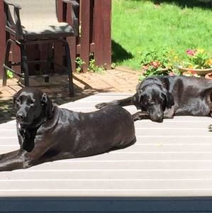 Meet your Posher, Don